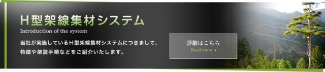 株式会社とされいほく H型架線集材システム 高知県 間伐 木材伐出業